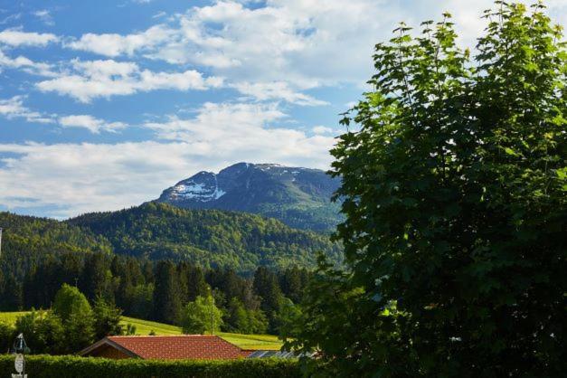 Haus Almrose Villa Reit im Winkl Buitenkant foto